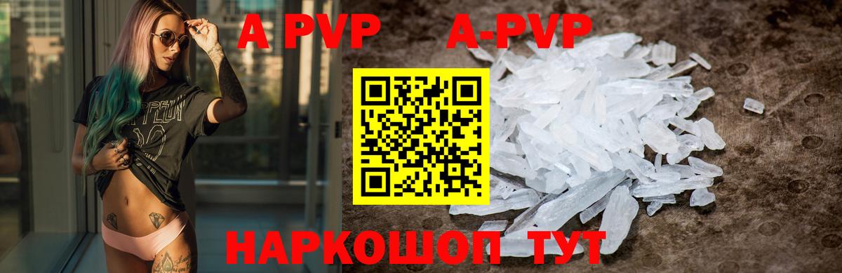 А ПВП СК КРИС  A PVP СК КРИС  Вход с VPN  Альфа ПВП СК  Гатчина 
