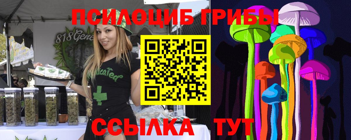 Галлюциногенные грибы Cubensis Гатчина