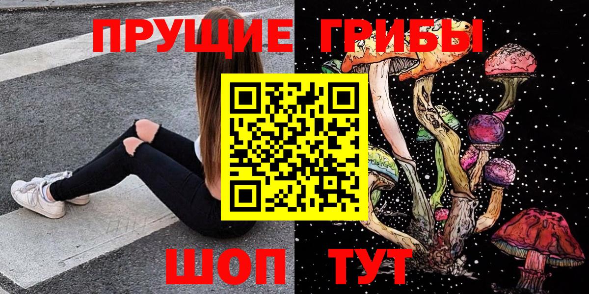 Гатчина  Псилоцибиновые грибы мицелий  Вход с VPN 
